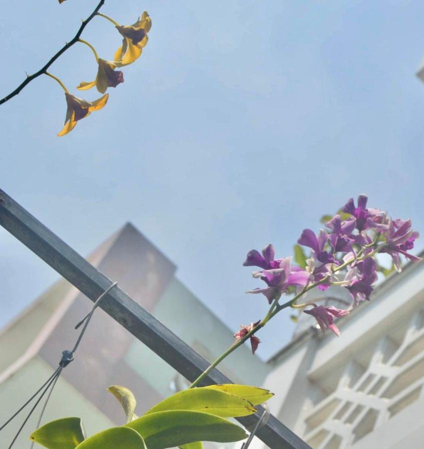 Apartament The House 36 Hoi An Zewnętrze zdjęcie
